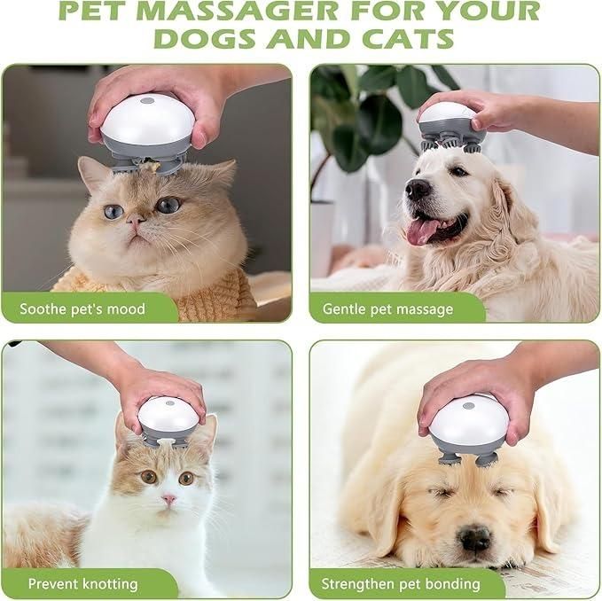 Electric  Massager
